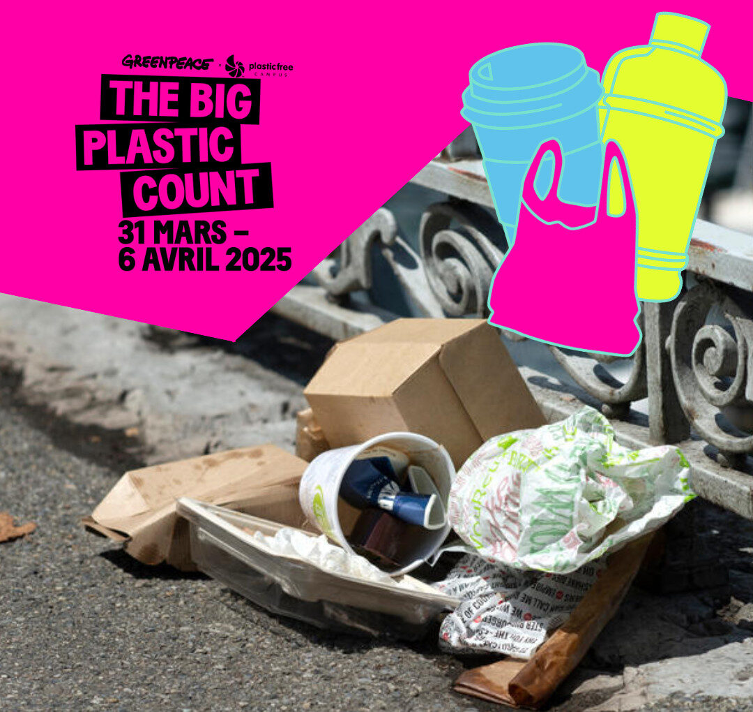 The Big Plastic Count